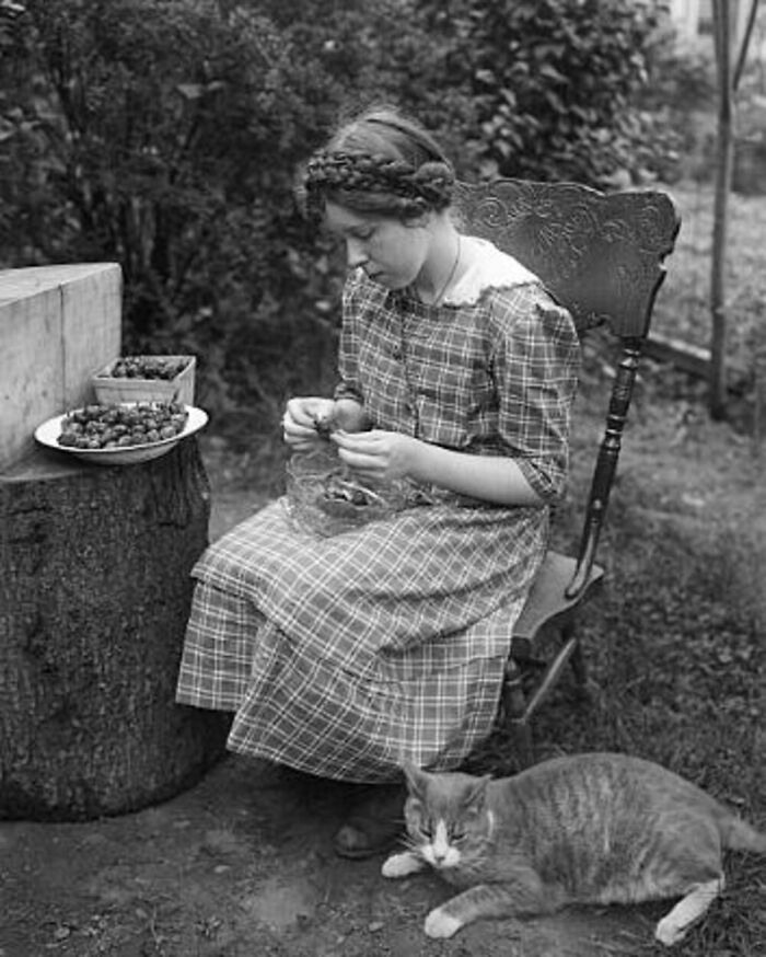 76 Vintage Photos Of Cats Posing With Famous People And Interesting Personalities (New Pics)