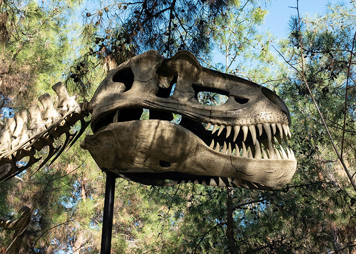 30 Things People Said That Gave Away That They Are Not The Brightest Crayon In The Box