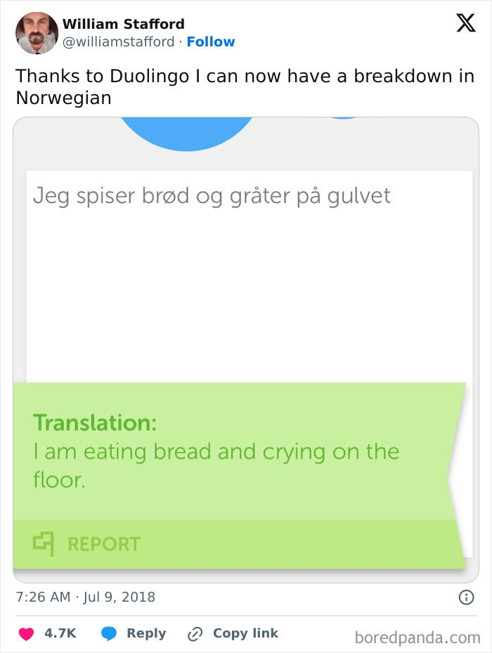Duolingo meme showing a translation: "I am eating bread and crying on the floor," humorously highlighting language skills.