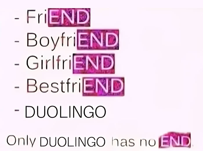 Duolingo meme highlighting the persistence of the app with words ending in "END" except Duolingo.