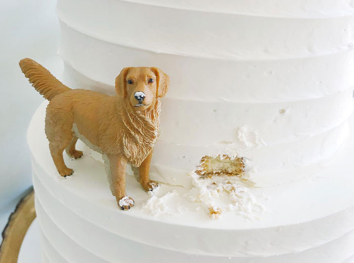 Client Drops “Take It Or Leave It” On Baker After Offering $50 For A Wedding Cake, They Leave Client Drops “Take It Or Leave It” On Baker After Offering $50 For A Wedding Cake, They Leave