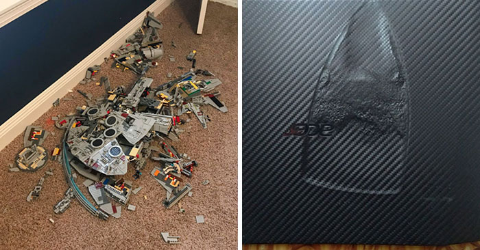 50 Pics That Reveal The Drama That Happens Between Siblings