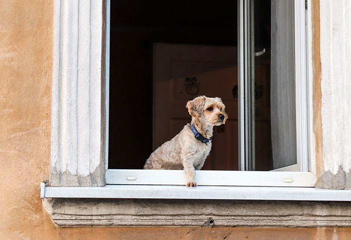 “Crazy Way To Go Out”: 50 Ways People Died That Are Almost Hard To Believe