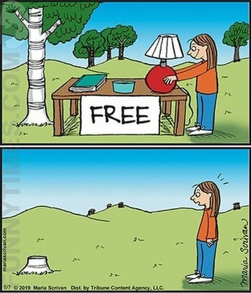 53 New Comics Featuring Absurd Humor And Funny Situations By Maria Scrivan