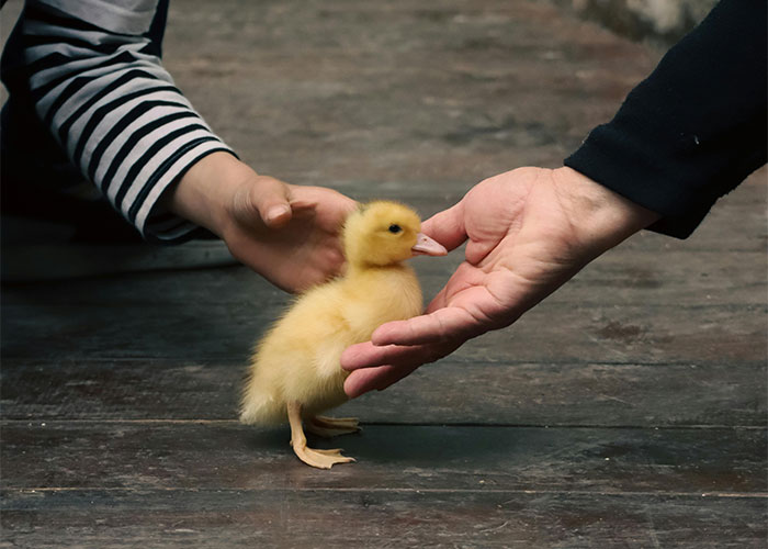 Camping Trip Ends In Tragedy, Rips Friendship Apart And Leaves Man Facing Ultimatum Camping Trip Ends In Tragedy, Rips Friendship Apart And Leaves Man Facing Ultimatum