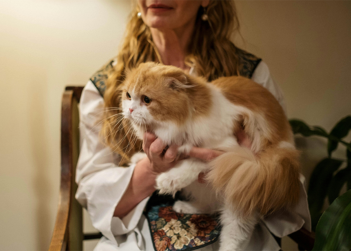 Camping Trip Ends In Tragedy, Rips Friendship Apart And Leaves Man Facing Ultimatum Camping Trip Ends In Tragedy, Rips Friendship Apart And Leaves Man Facing Ultimatum