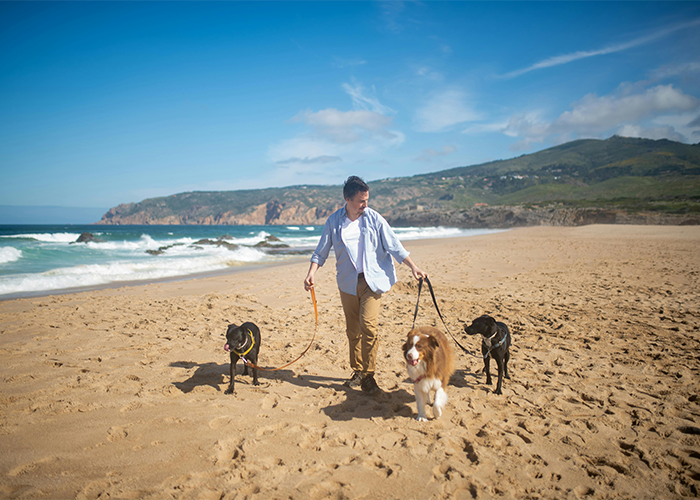 Camping Trip Ends In Tragedy, Rips Friendship Apart And Leaves Man Facing Ultimatum Camping Trip Ends In Tragedy, Rips Friendship Apart And Leaves Man Facing Ultimatum