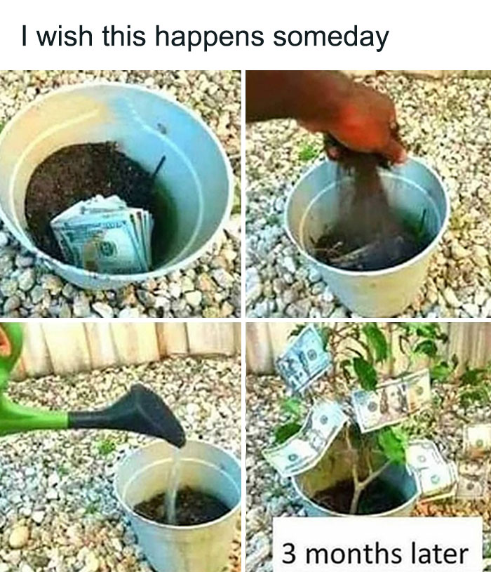 Funny-Epic-Bro-Memes