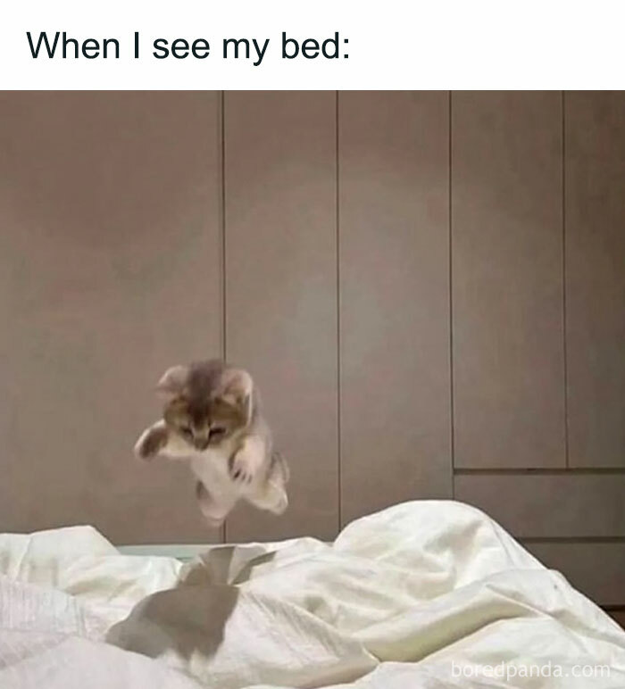 Funny-Epic-Bro-Memes