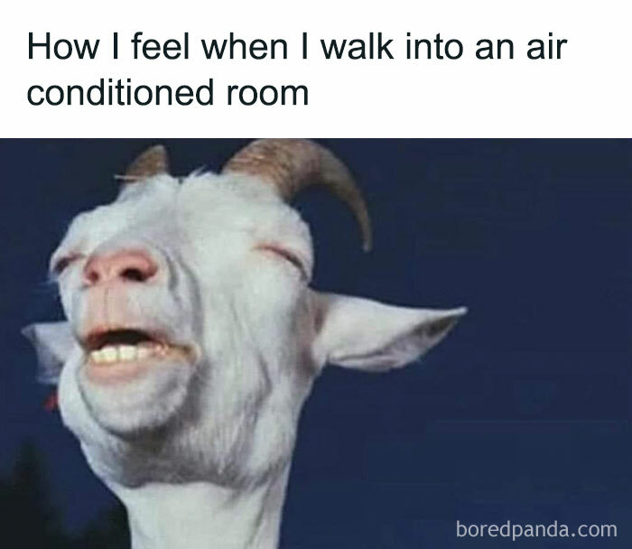 Funny-Epic-Bro-Memes