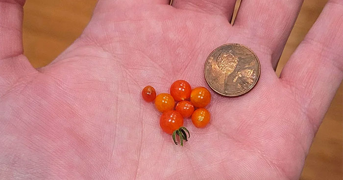 30 Funny Harvests That Prove Mother Nature Has Some Funny Tricks Up Her Sleeve