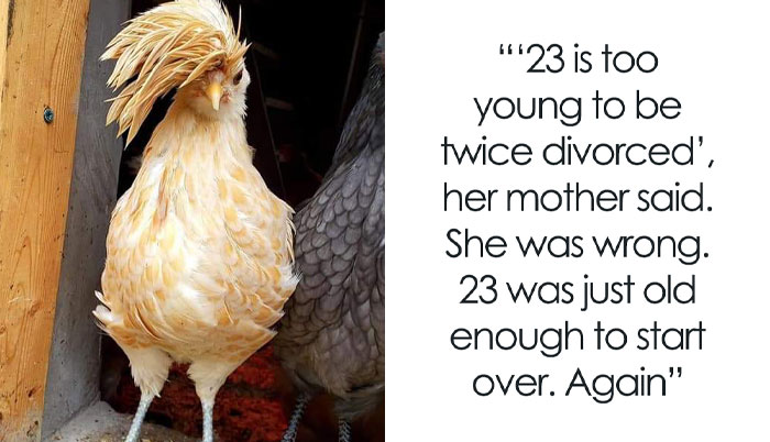 50 Pictures Of Birds That Are Probably Having A Worse Day Than You