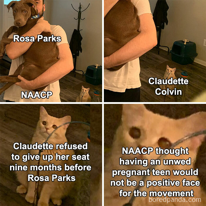 Funny-Uncensored-History-Memes