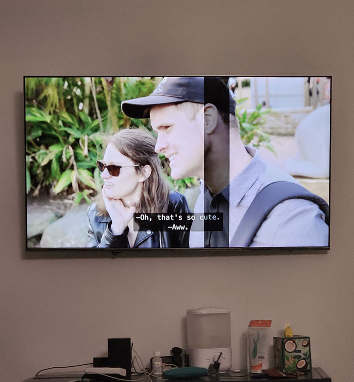 Wife Decided She Wanted A Humidifier In The Room