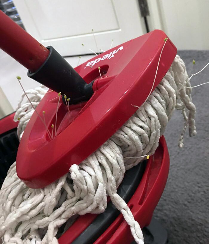 When Your Flatmate Likes To Eat Seeds And Cleans The Floor Without Vacuuming First