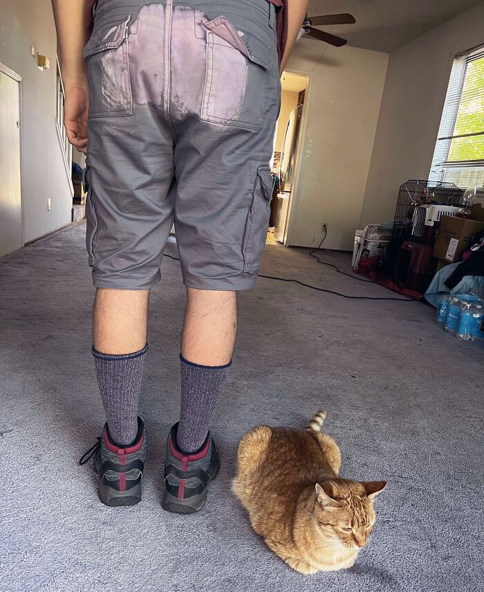 Got New Cargo Shorts And Accidentally Sat On A Stool That My Sister Was Cleaning With Clorox