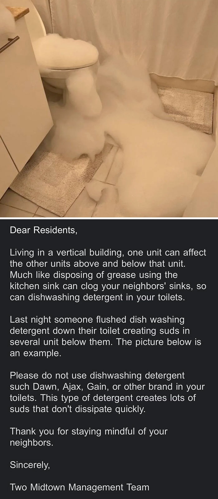 Cleaning Your Toilet With Dishwasher Detergent