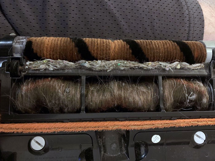 My Wife Wonders Why The Vacuum Hasn't Been Working