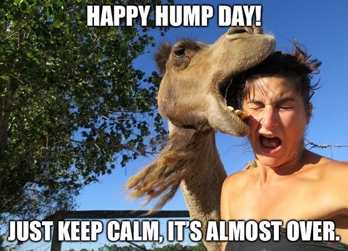 Woman surprised as camel playfully bites her head, captioned "Happy Hump Day! Just keep calm, it's almost over." Perfect Wednesday meme.