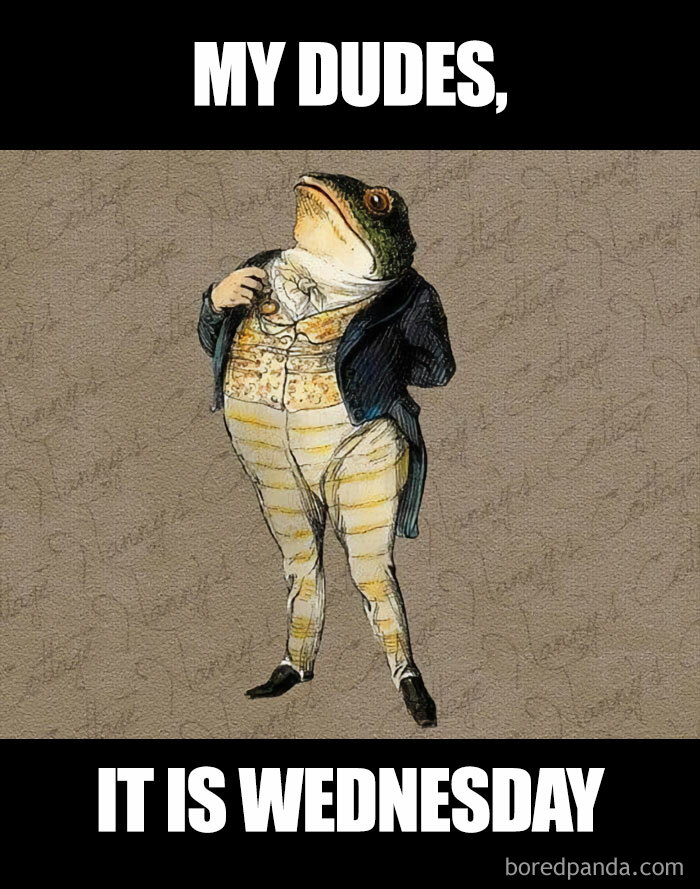 Sir Toad frog in a suit, confident pose, with text "MY DUDES, IT IS WEDNESDAY." Hump day meme illustration.