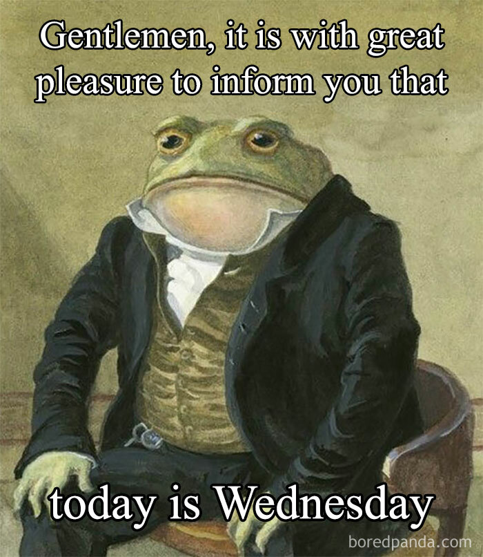 Sir Toad frog in a suit announces it's Wednesday, capturing the essence of hump day memes.