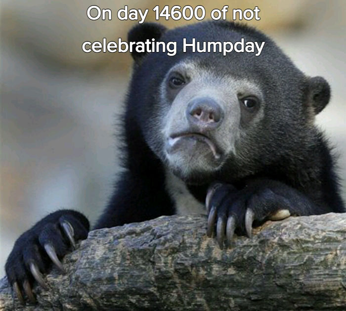 Bear with solemn expression, captioned "On day 14600 of not celebrating Humpday," capturing a Wednesday mood meme.