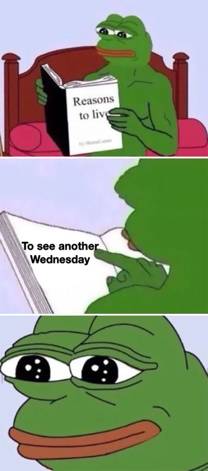 Pepe the Frog reads "Reasons to live," showing joy for Wednesdays in a humorous meme.