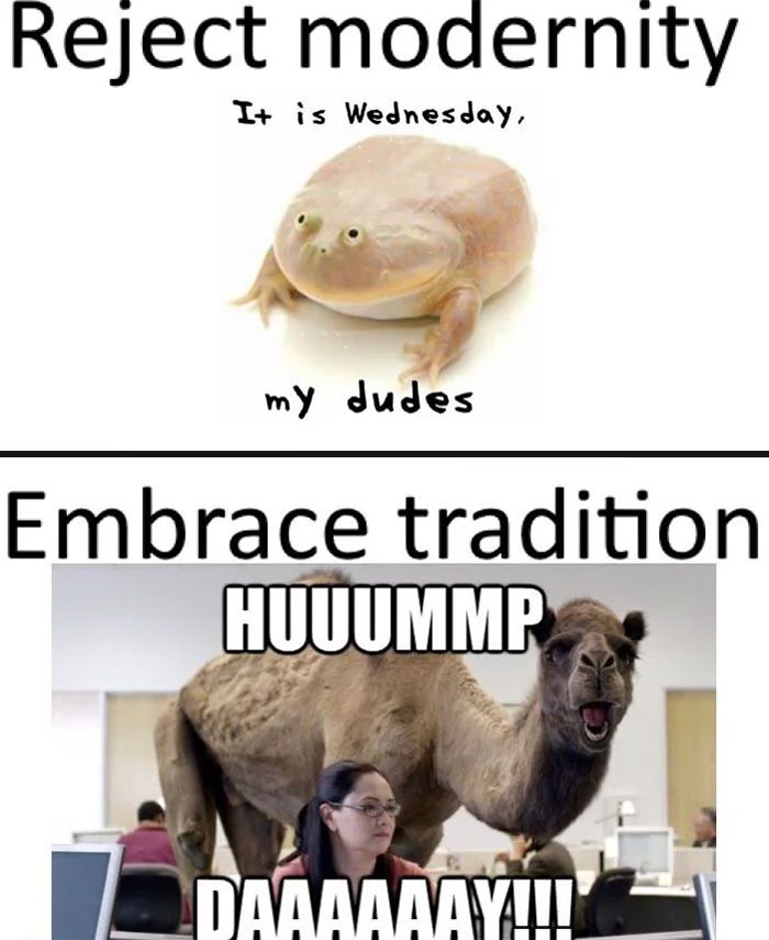 Frog and camel meme depicting hump day, with "Reject modernity" and "Embrace tradition" text.