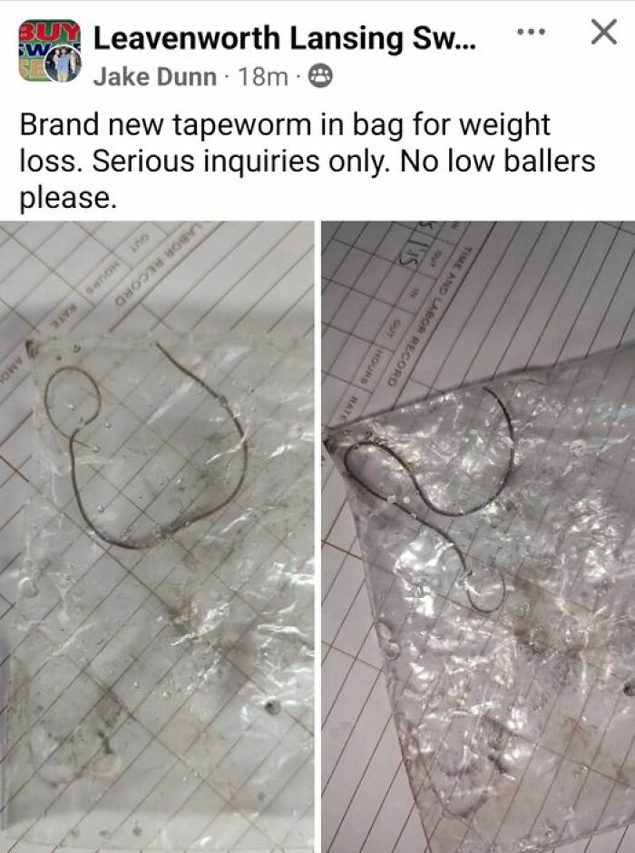 If-Ya-Squint-Its-Mint-Funny-Pictures