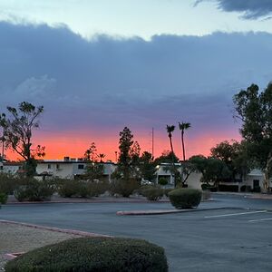 monkeymom4321 avatar