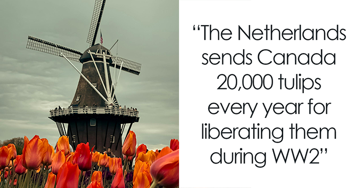 30 Interesting Facts From History That You May Not Find In Textbooks