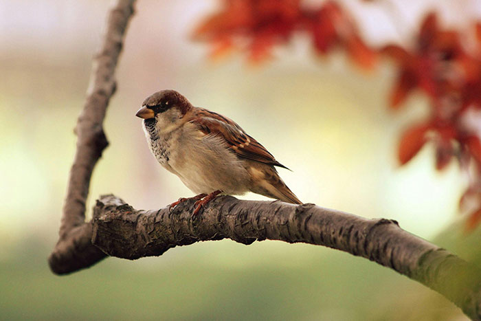 20 Interesantes datos históricos que no encontrarás en los libros de texto