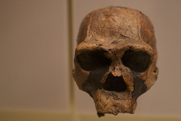 20 Interesantes datos históricos que no encontrarás en los libros de texto