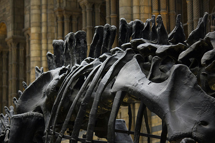 20 Interesantes datos históricos que no encontrarás en los libros de texto