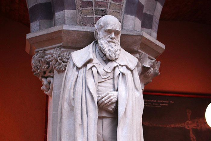 20 Interesantes datos históricos que no encontrarás en los libros de texto