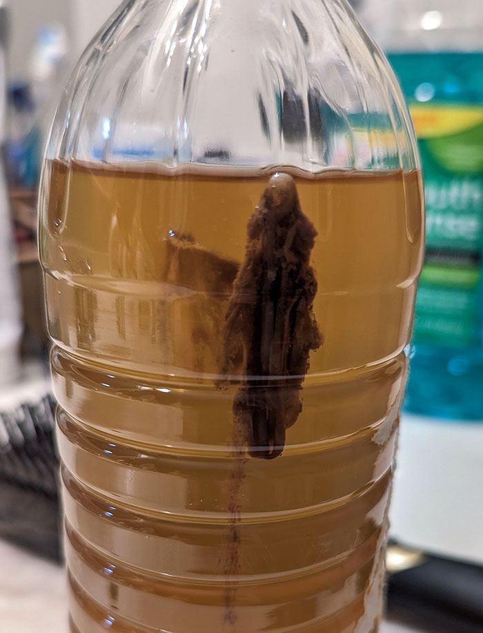 Our Apple Cider Vinegar Looks Like A Dementor