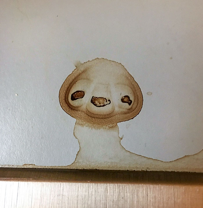 This Coffee Stain On My Counter Looks Like A Sloth