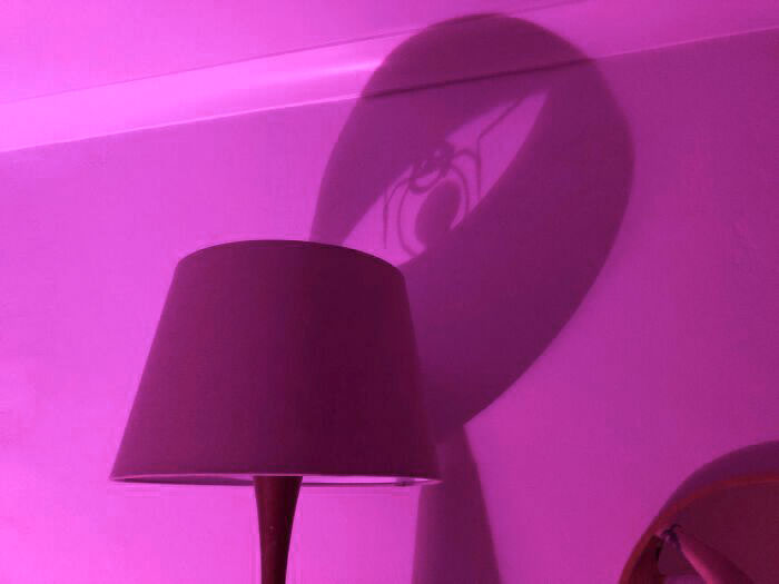 Shadow Cast By My Lamp Looks Like A Happy Spider With A Ball