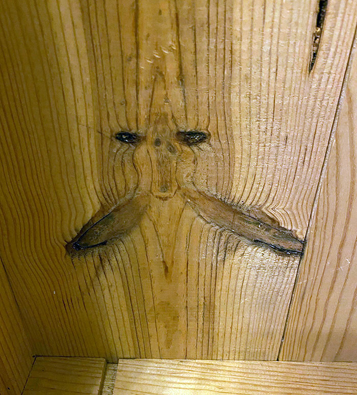 "The Scream" In My Bathroom