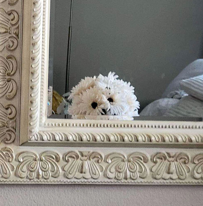 I Thought Mom Picked Up A New Dog