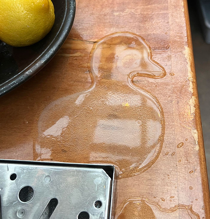 The Spilled Beer Looks Like A Duck