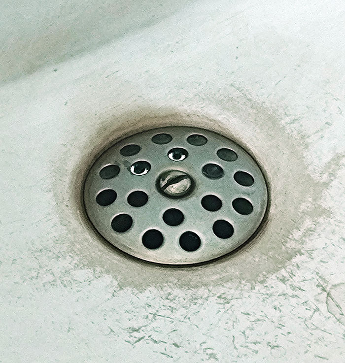 Drain At Work Looks Like A Furby