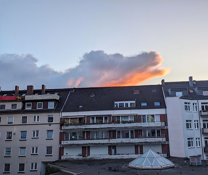 That Looks Like A Crocodile Outside My Window