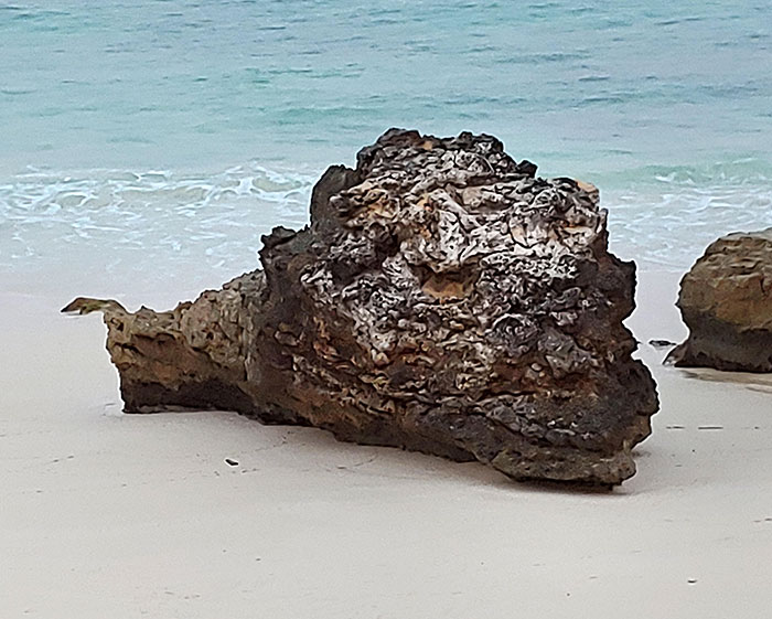 This Rock Either Looks Like A Decapitated Dragon's Head Or A Snail