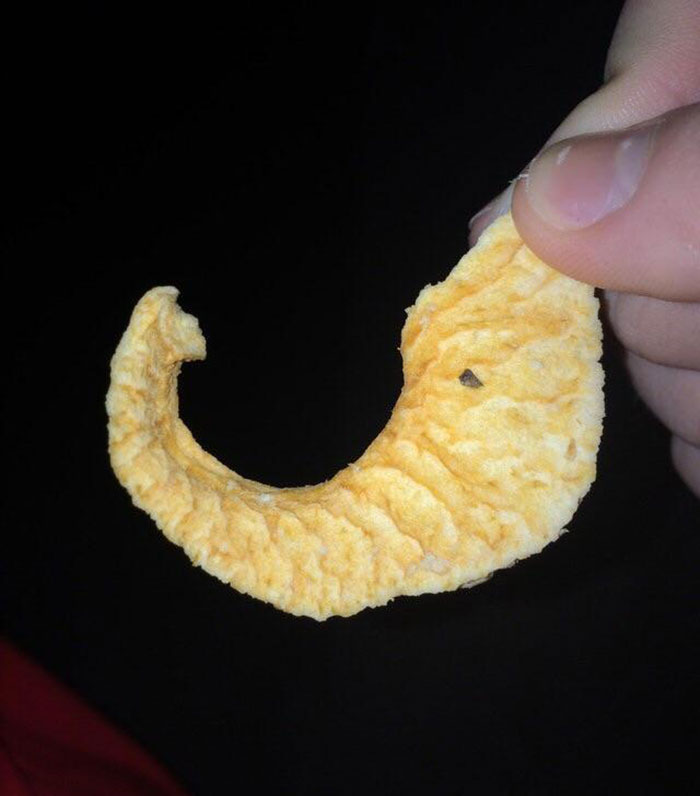 This Apple Slice Looks Like An Elephant