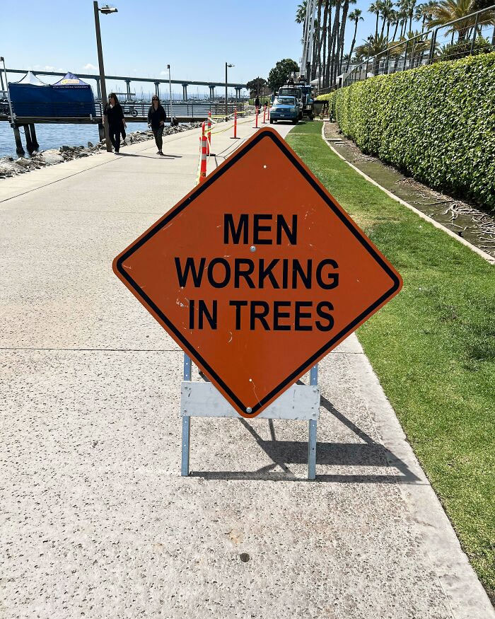 Men Working In Trees