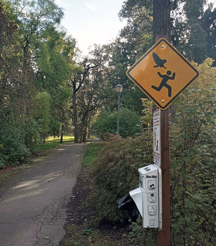 An Owl Attack Caution Sign