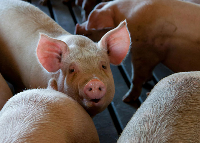 "I Can't. I'm Tired": 30 Professionals With Terrible Mental Health Confess What Job They Have