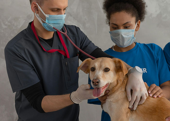 "I Can't. I'm Tired": 30 Professionals With Terrible Mental Health Confess What Job They Have