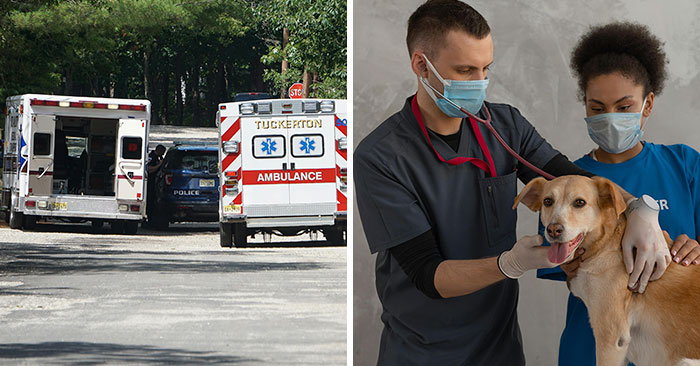 “I Can’t. I’m Tired”: 30 Professionals With Terrible Mental Health Confess What Job They Have